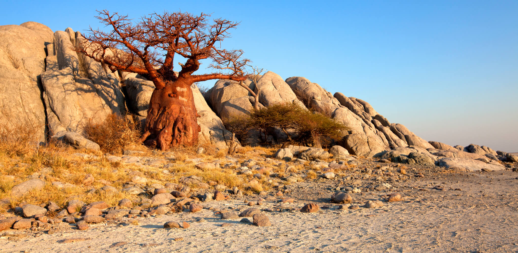 Snapshot: Makgadikgadi Pans  