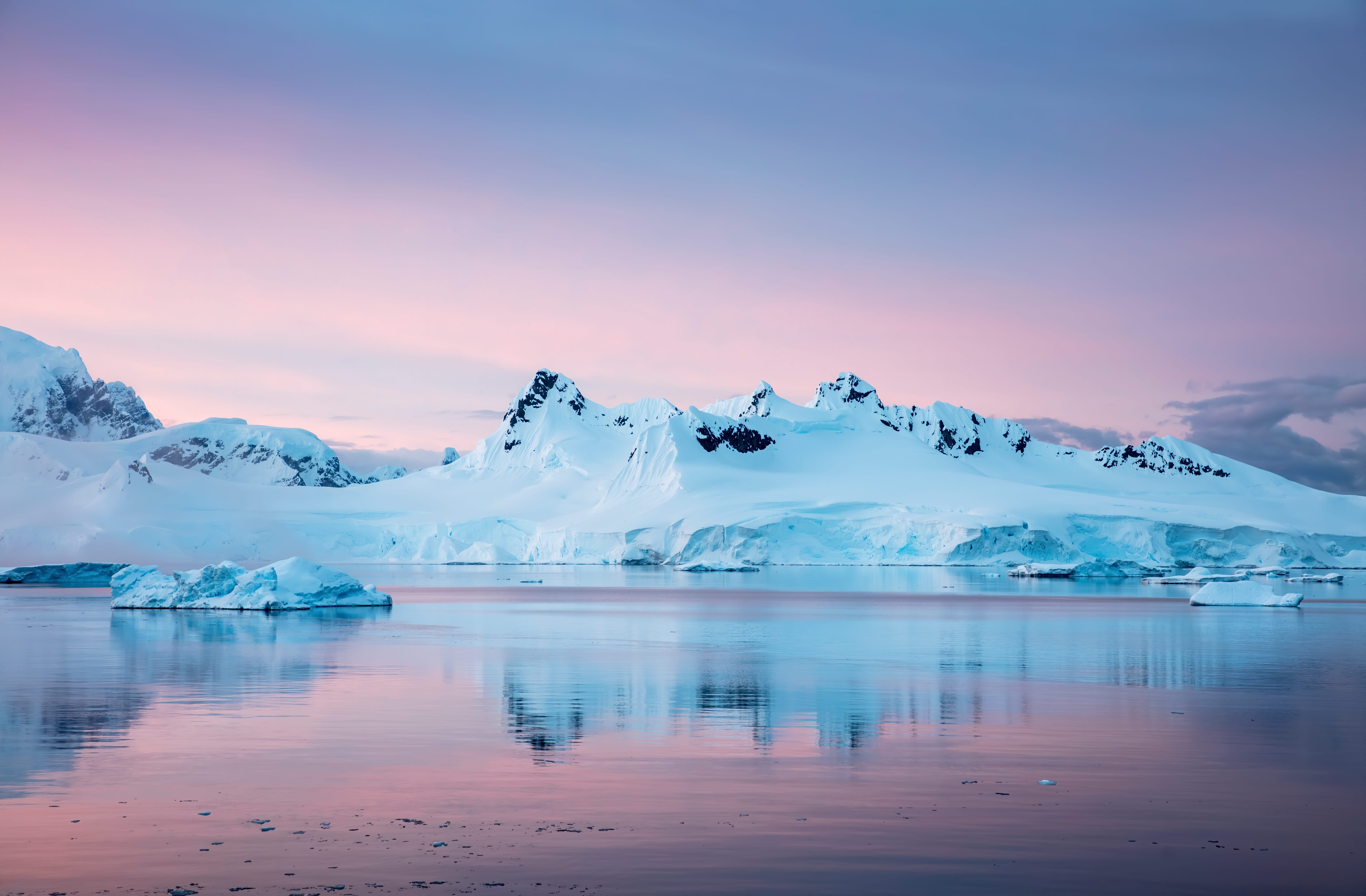 Antarctica Travel Guide: What To Watch And Read Before Your Trip
