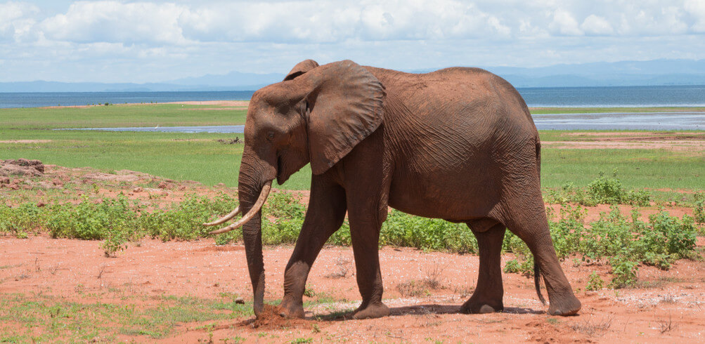 Snapshot: Lake Kariba  