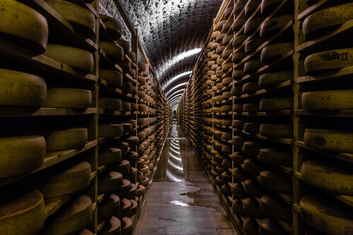Comte cheese in a refining cellar in the Jura region