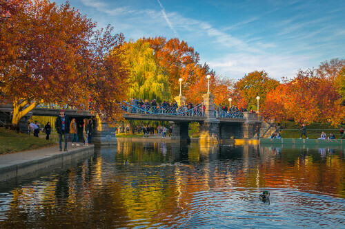 Incredible colors of fall are reflected in the waters of the Public Gardens.