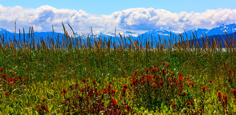 Snapshot: Glacier Bay Park & Reserve 