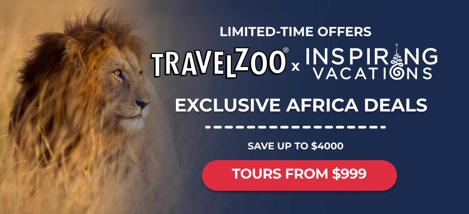 Limited-Time Discounts on Safari Packages - gmedia