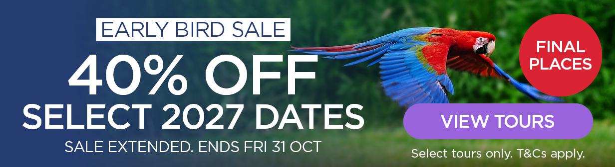 early-bird-30-31-oct