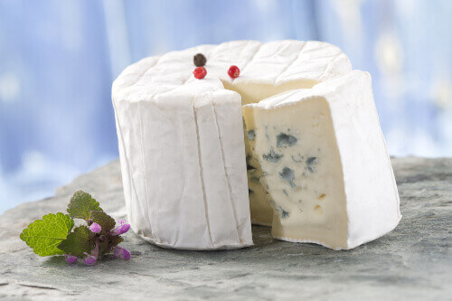 Bleu de Bresse is a French blue cheese