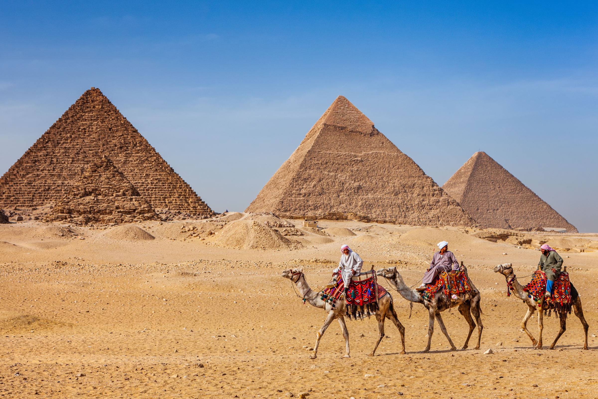 Egypt travel guide—camels in Cairo