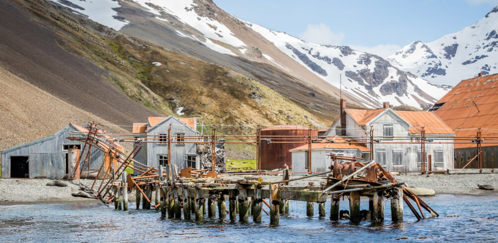 Going To Antarctica? Here's What To Watch & Read First