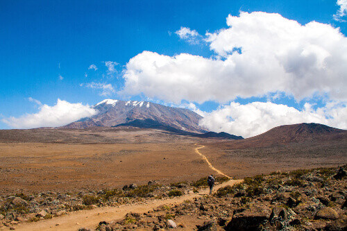 A tourist hiking in Mount Kilimanjaro.