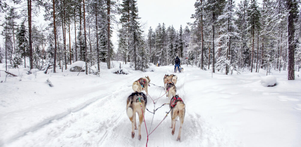 Snapshot: Lapland 