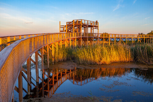 A boardwalk in the Parnu coastal meadow hiking trail.