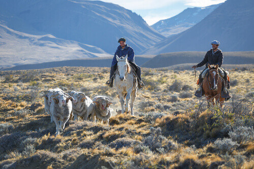 Gaucho against the backdrop of the famous mount Fitz Roy in Los Glaciares National Park in Patagonia Argentina
