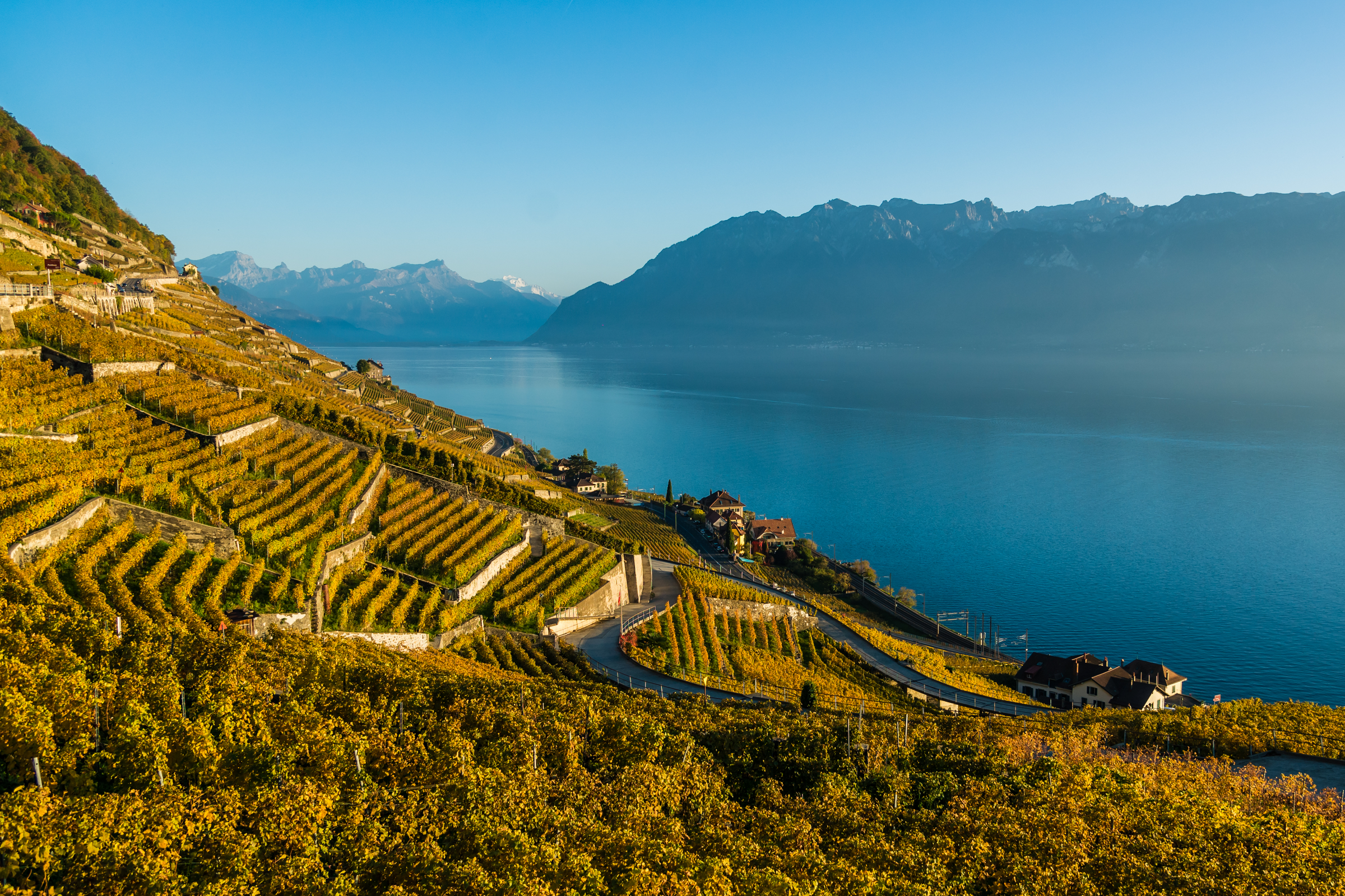 Terraced vineyards in Lavaux overlooking Lake Geneva, a must for wine lovers and walkers