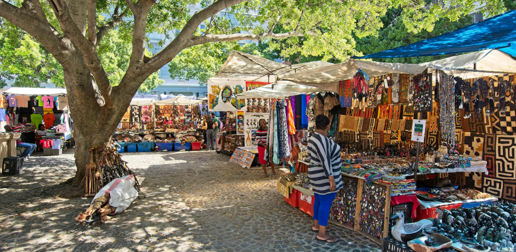 Meet Cape Town, South Africa’s Mother City 