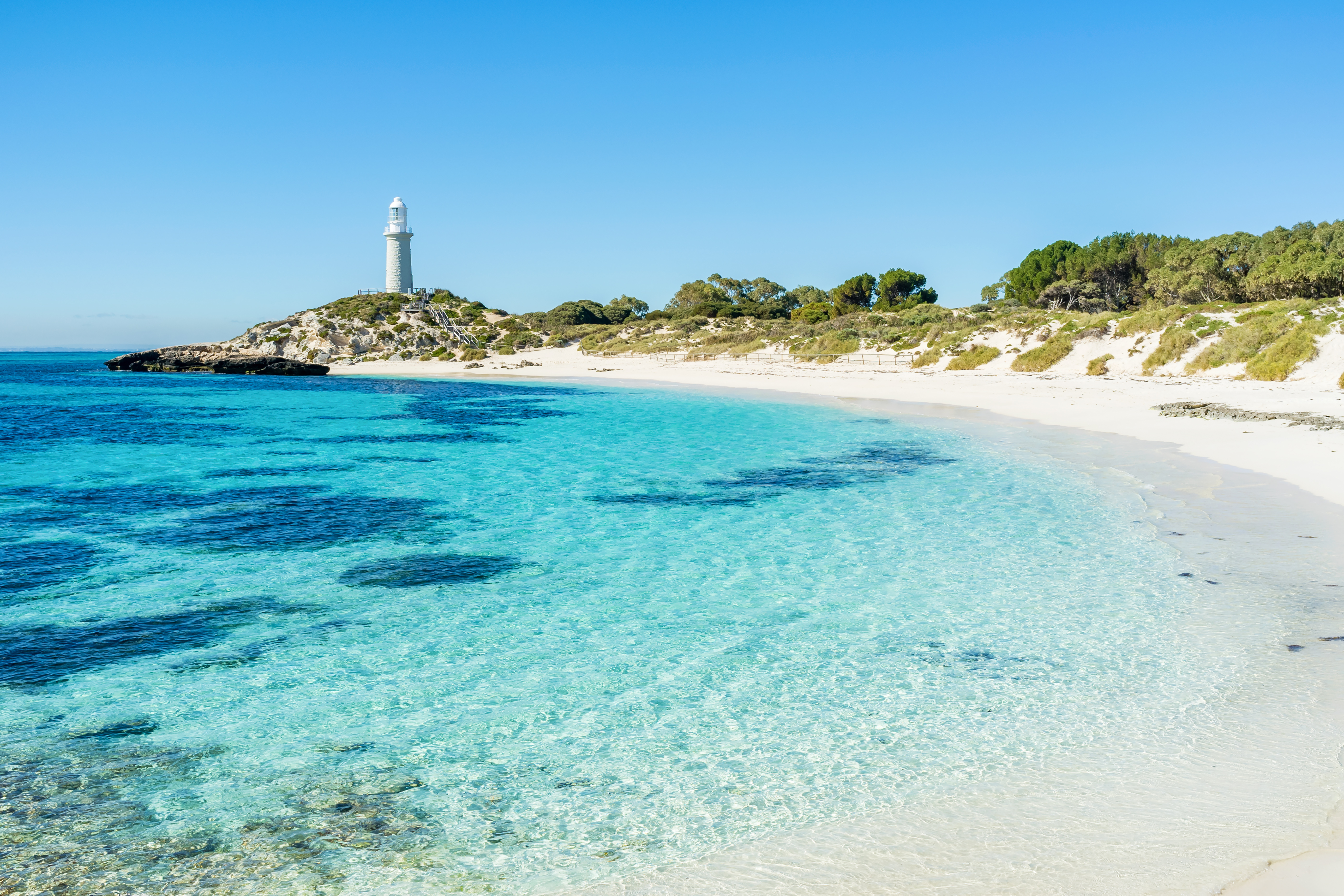 Everything You Need To Know About: Rottnest Island 