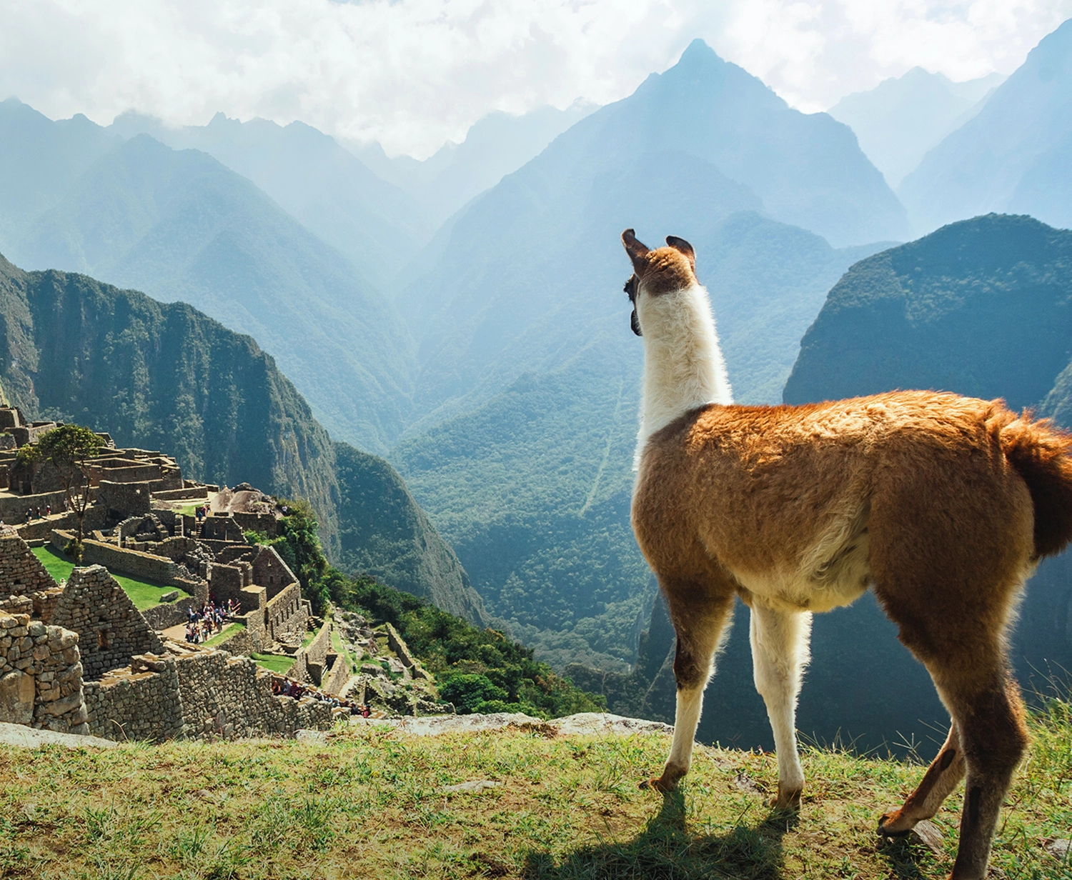 Travel further with Velocity Points