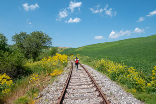 A person wanders through the lush Italian countryside.