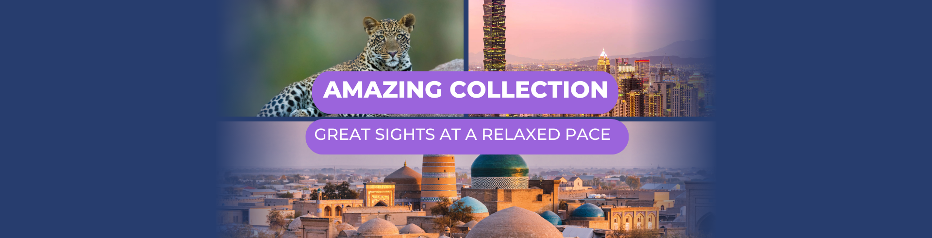 Amazing Collection