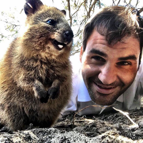 Roger Federer snaps a quokka selfie. Credit: Instagram @rogerfederer
