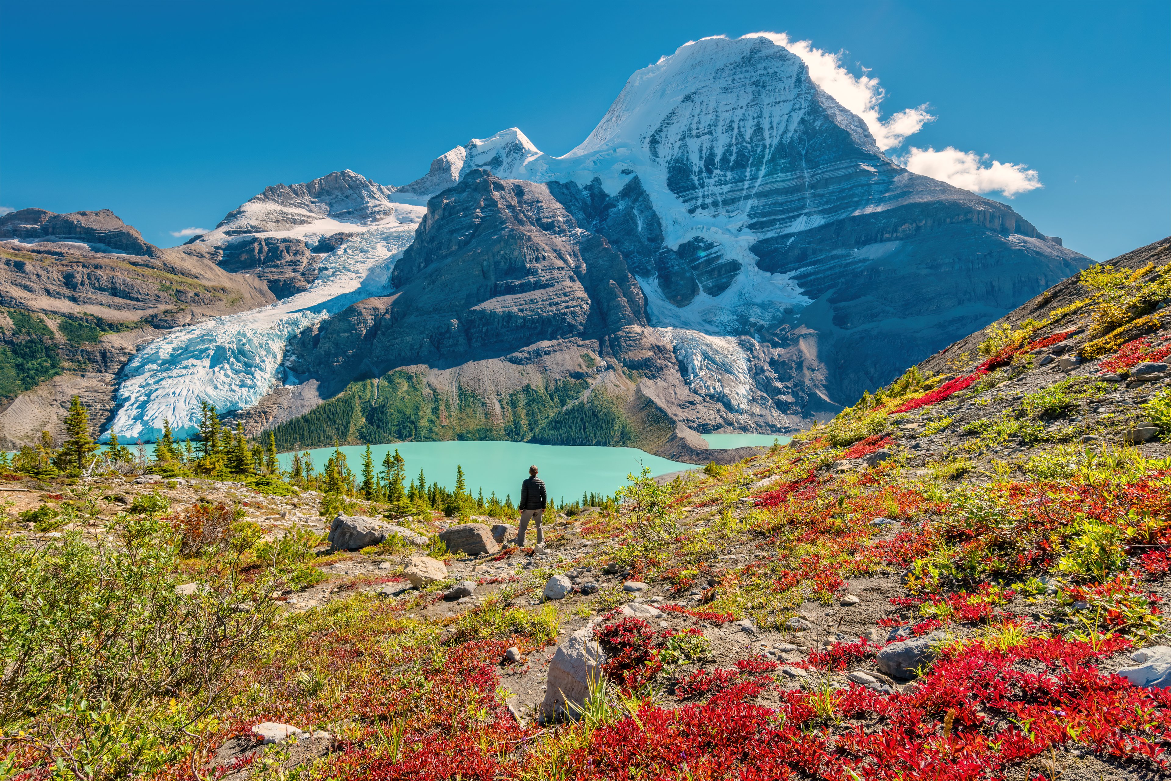 Scenic view of Berg Lake and Mount Robson in summer