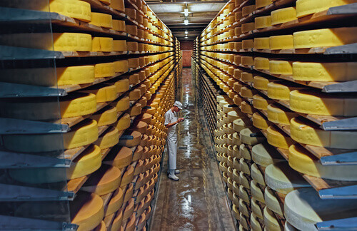 Row upon row of cheese left to mature in a cellar of Maison du Gruyere cheese dairy in Gruyere, Switzerland.