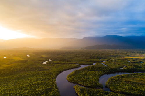 An aerial view of the Amazon Rainforest.
