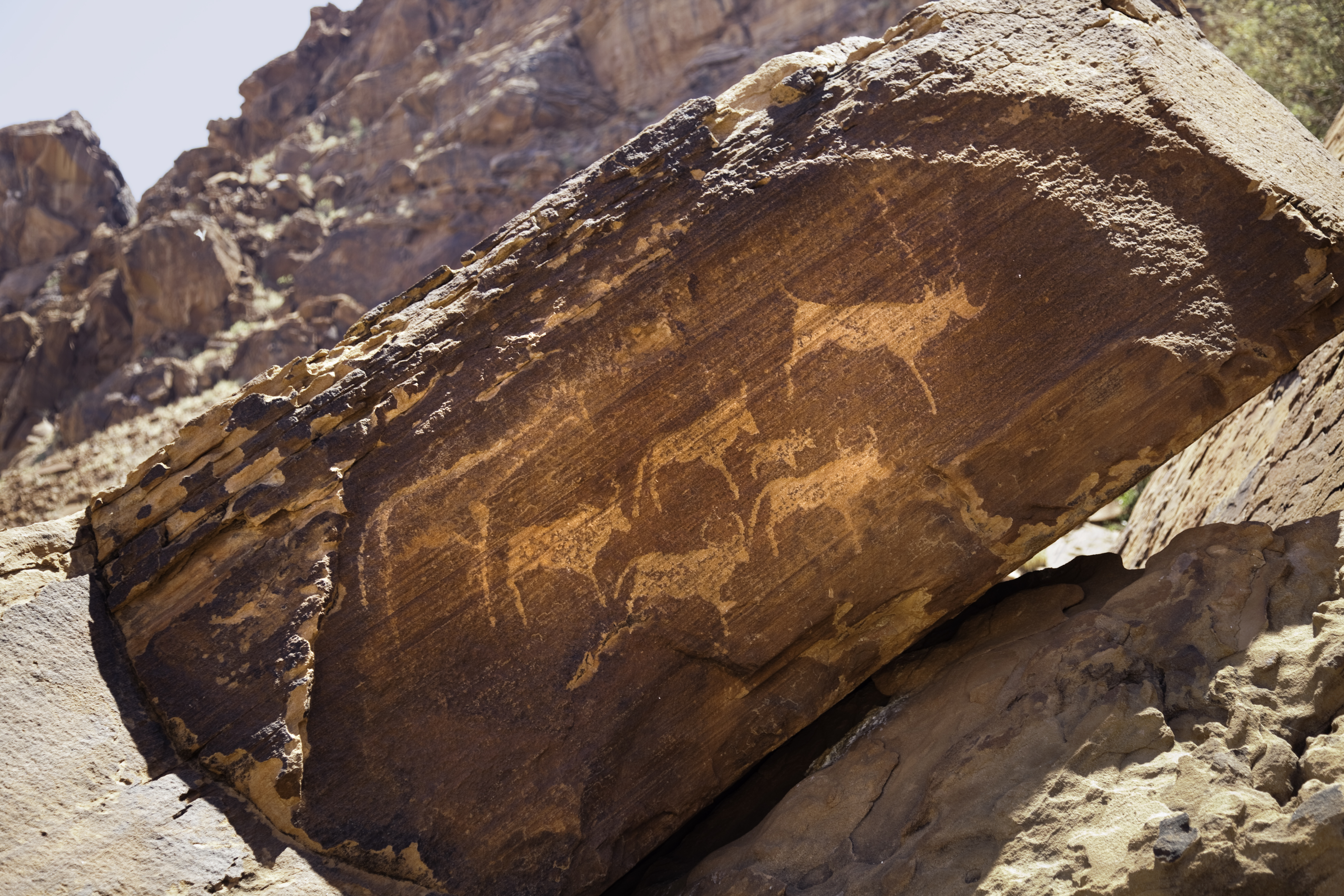 Damaraland&rsquo;s Twyfelfontein rock engravings showcase ancient Bushmen petroglyphs etched into Namibia&rsquo;s desert sandstone.