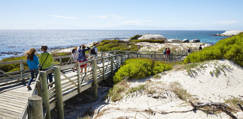 Snapshot: Boulders Beach 