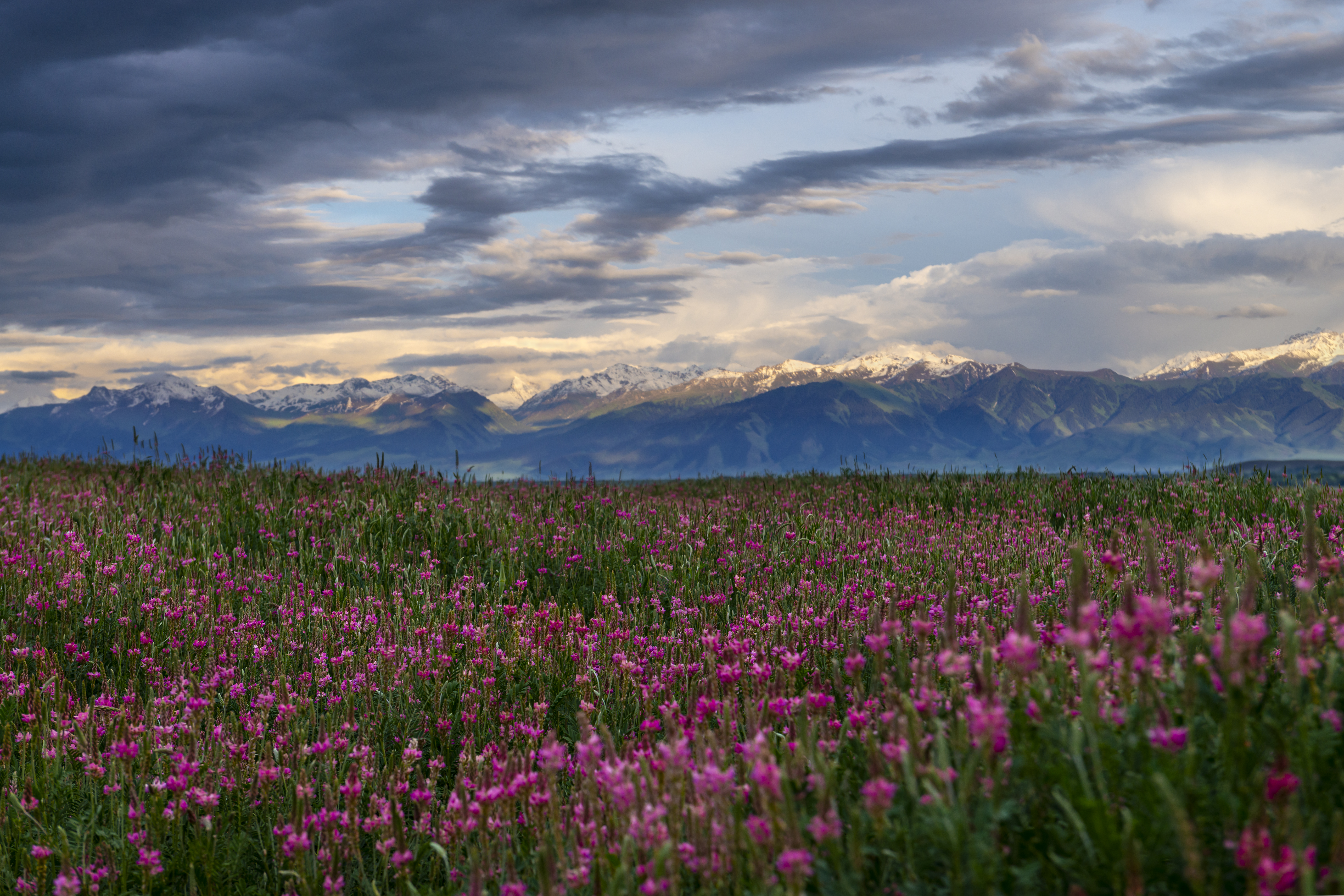Tian Shan mountains in Kyrgyzstan