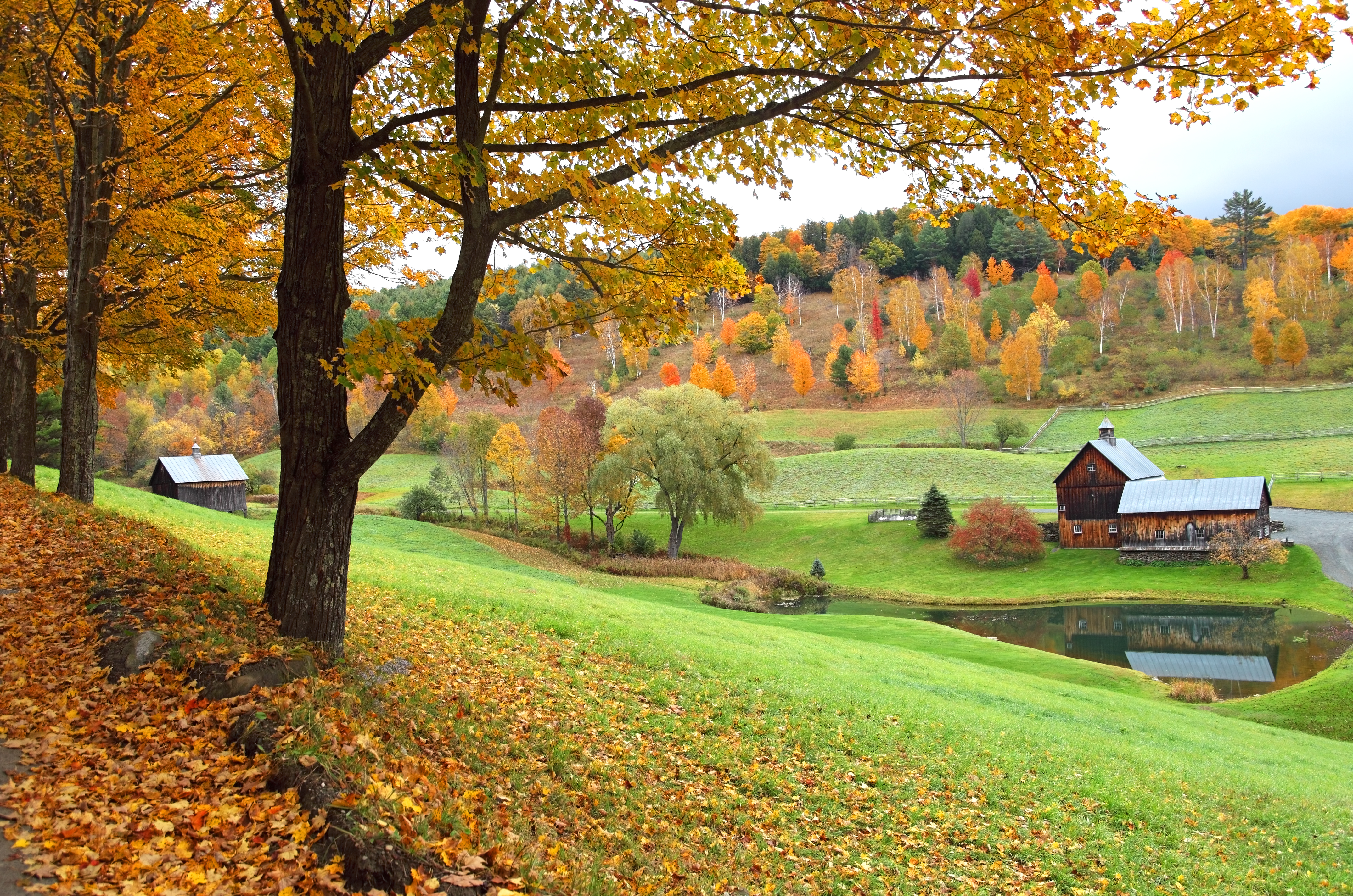 Autumn in Woodstock, Vermont