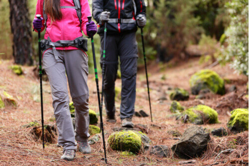People hiking with walking poles.