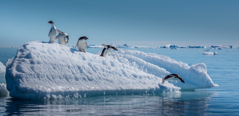 My Life At The Pole: Meet Ralf Auer