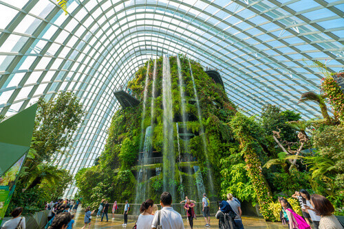 The Cloud Forest dome at Gardens by the Bay