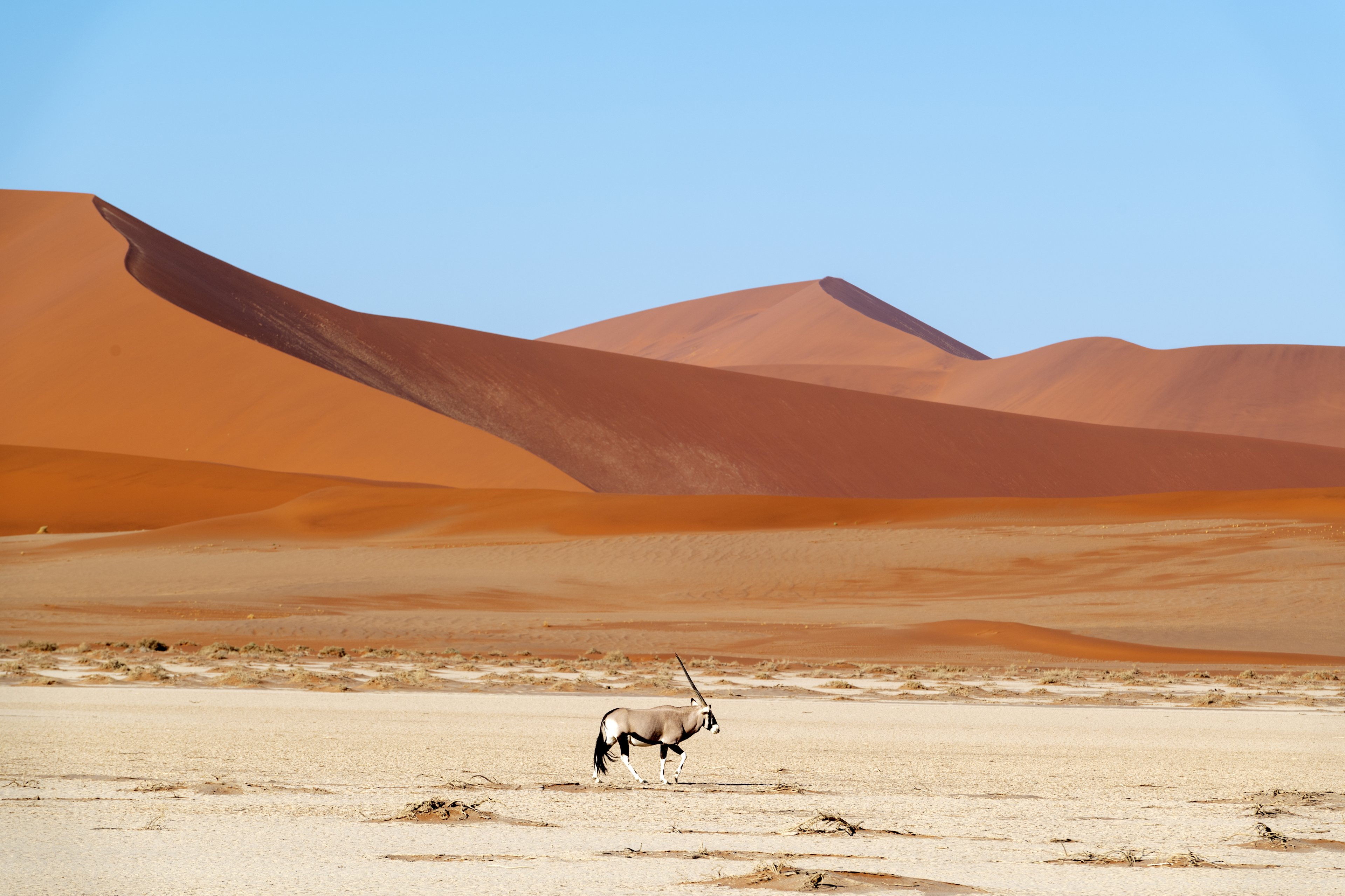 The Namibia Travel Guide: 10 Unforgettable Places To Visit