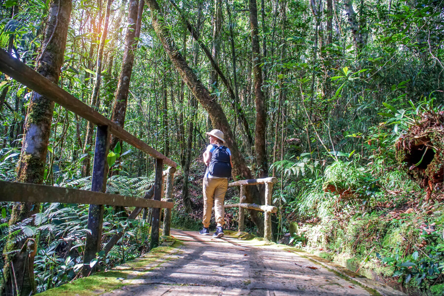 A female traveller at the tropical rainforests of Borneo