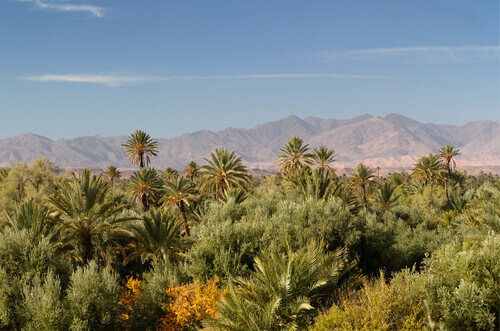 View of High Atlas mountains and the Skoura Palm Grove from Kasbah Ben Moro, Morocco.