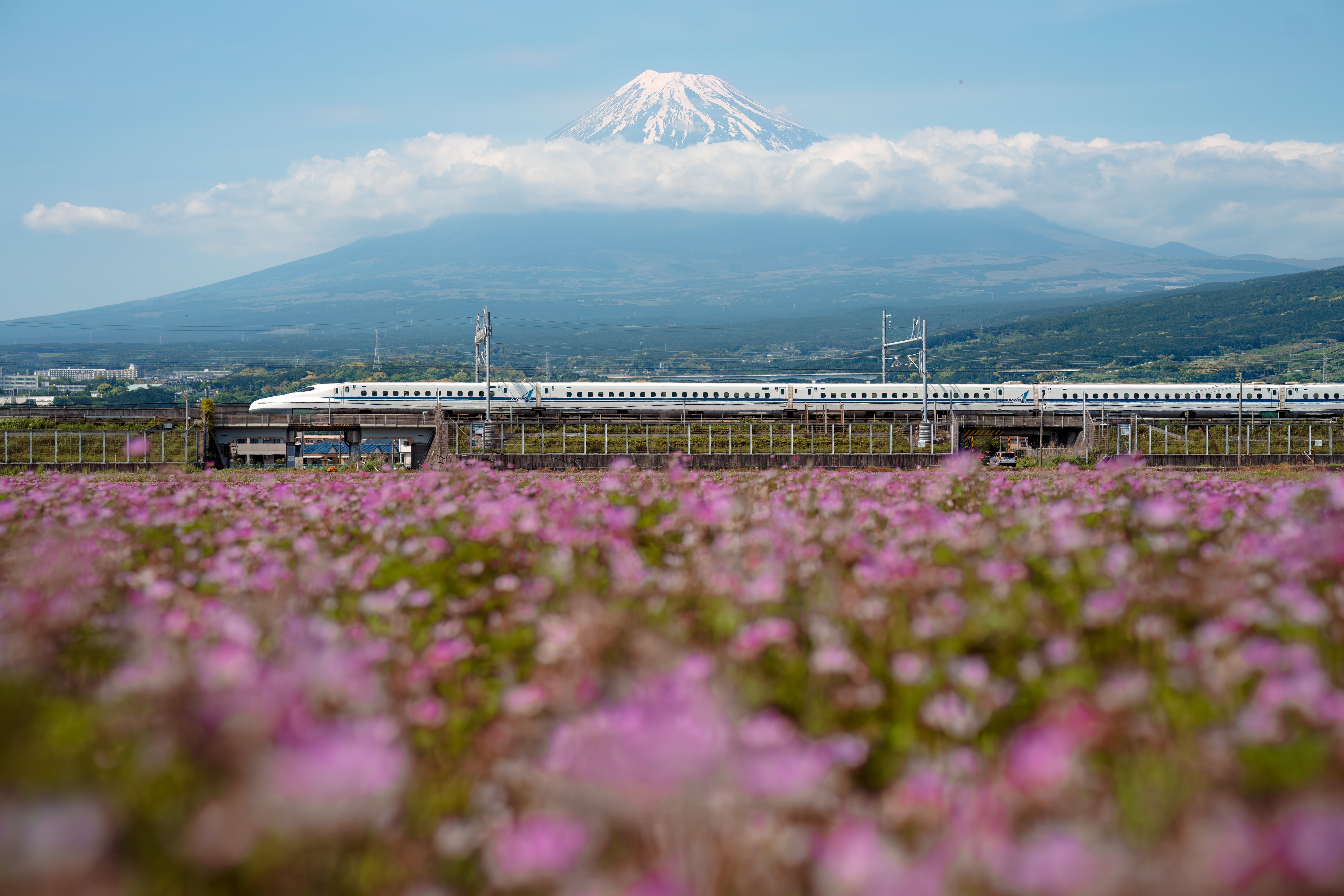 Japanese Shinkansen bullet train passes in front of Mount Fuji