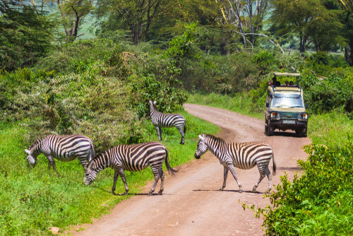 The picturesque landscapes of Arusha National Park.