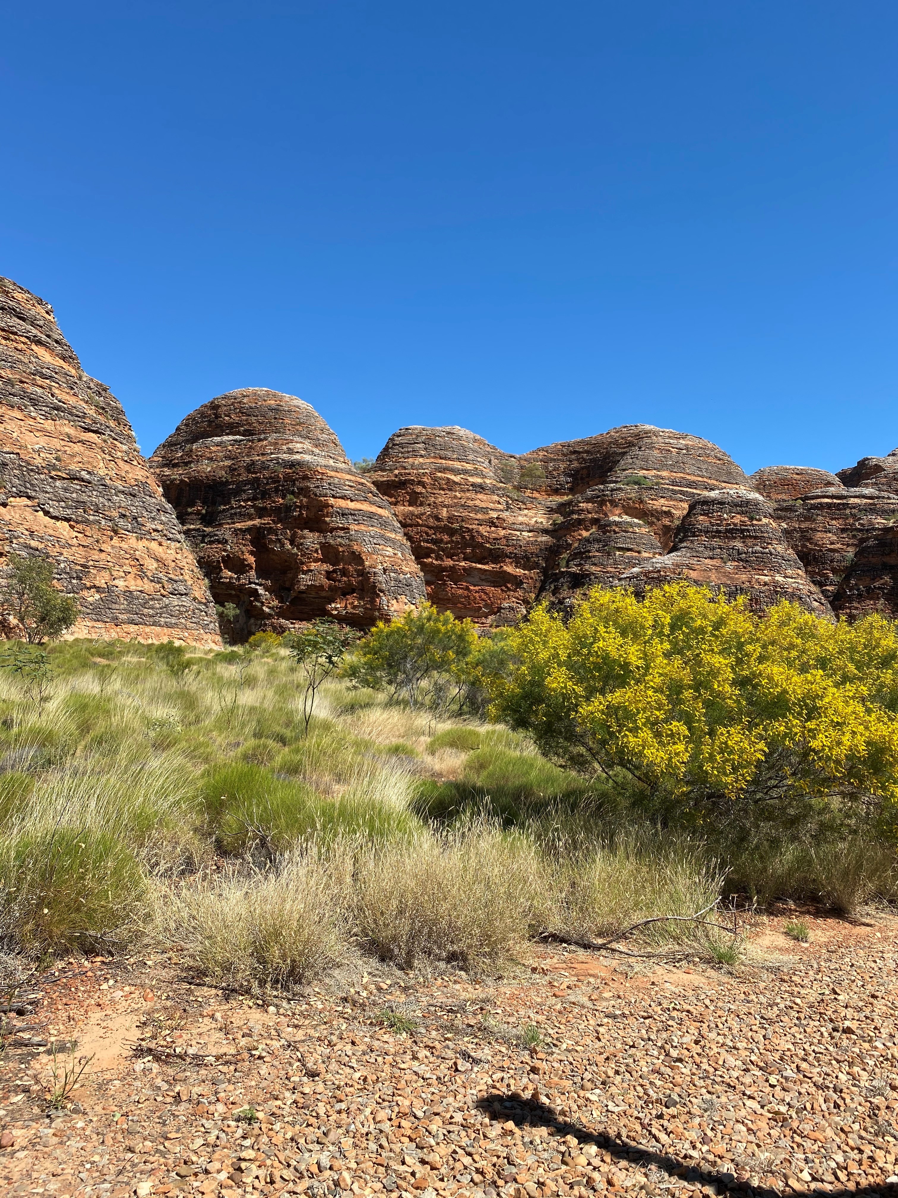 Customers On Tour: Complete Kimberley