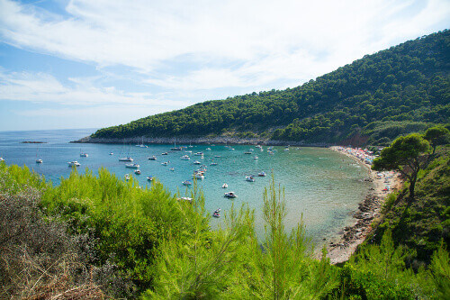 A landscape of the Island of Lopud in Šunj Anchorage.