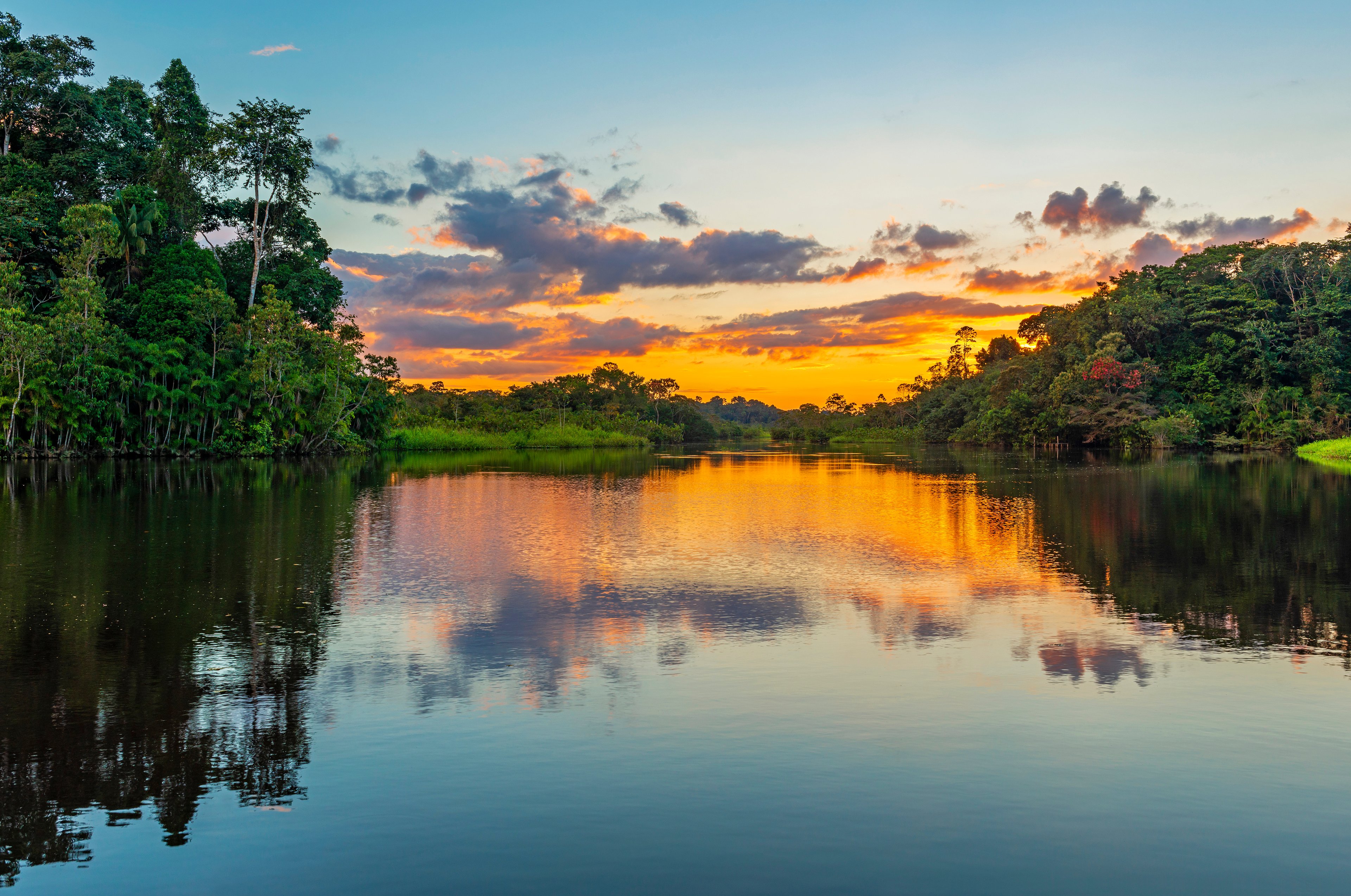 A vibrant sunset over the Amazon rainforest in Peru