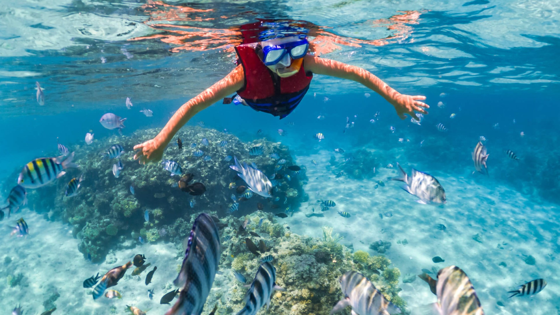 Galápagos Islands For Nature Lovers