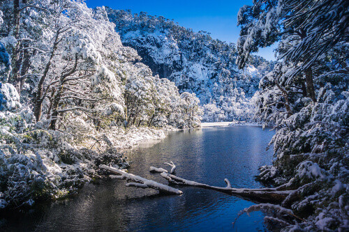 The pristine white Huerquehue National Park in Pucon, Chile.