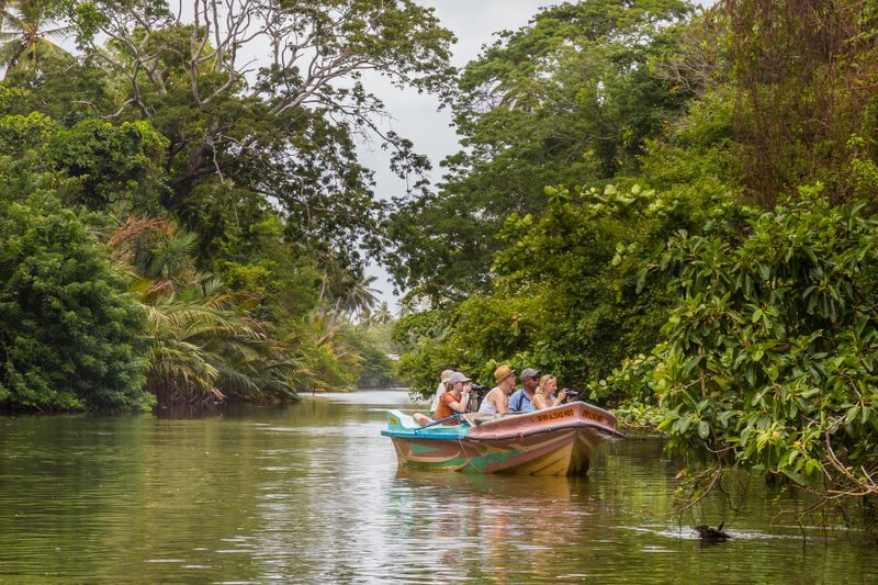 Tourists on a boat ride through the Negombo Lagoon taking photos