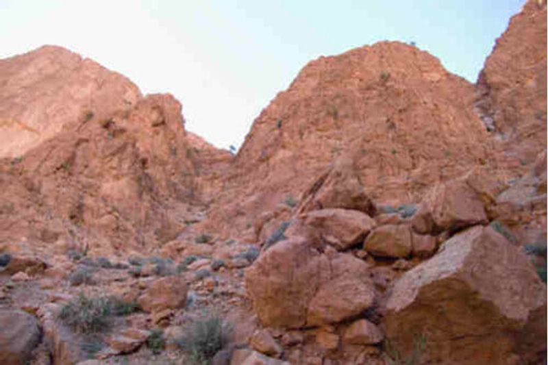 A famous climbing destination in Todgha Gorge