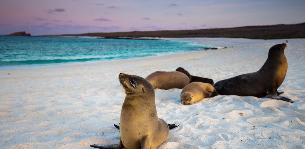 36 Day Inspiring South America With Patagonia & Galapagos