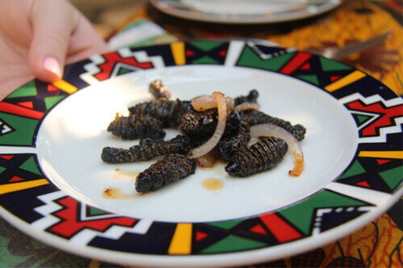 Mopane Worms, a Zimbabwe delicacy.