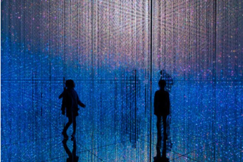 The celebrated teamLab Borderless art installation in Tokyo, Japan.