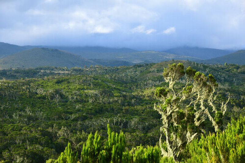 The Maundi crater on the Mount Kilimanjaro National Park overlooking the Marangu Routh.