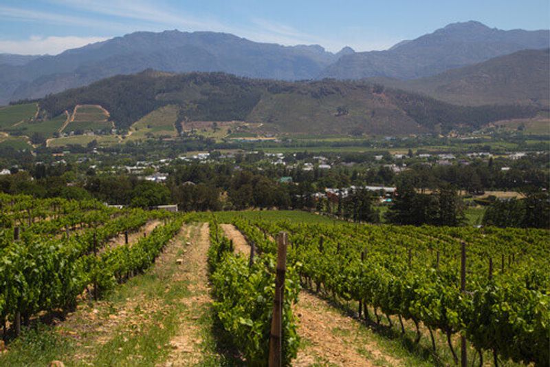 A winery outside Franschhoek in Western Cape, Cape Town, South Africa.