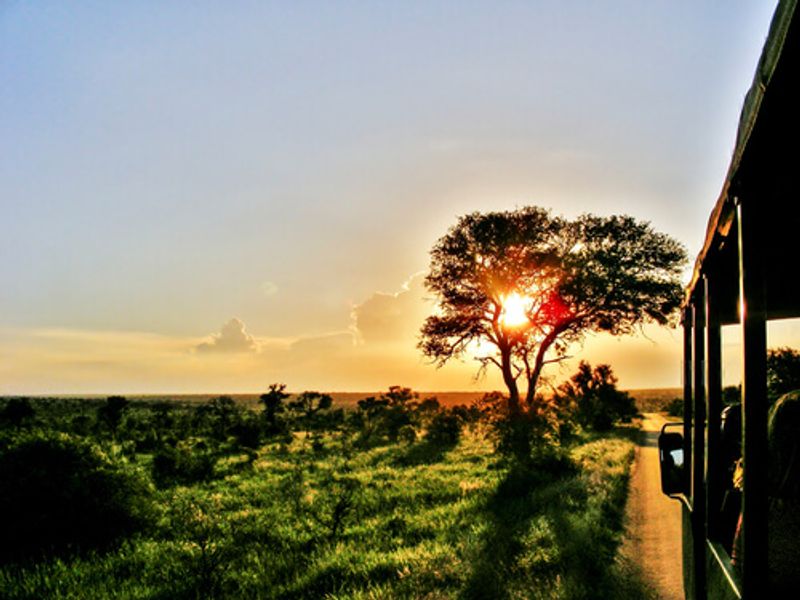 The Kruger National Park is lush, expansive and attracts visitors from all over the world.